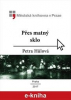 Hůlová Petra - Přes matný sklo